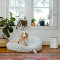 Product Kärcher Air Purifier AF 20 Καθαριστής Αέρα thumbnail image