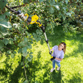 Product Kärcher PG Telescopic Extension thumbnail image