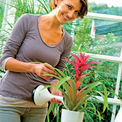 Product Gloria Grow Ψεκαστήρακι 800ml σε Μπλέ Χρώμα thumbnail image