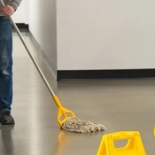 Mops