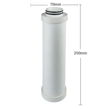 Atlas Filtri CA 10 BX 25μm Replacement Activated Carbon Filter