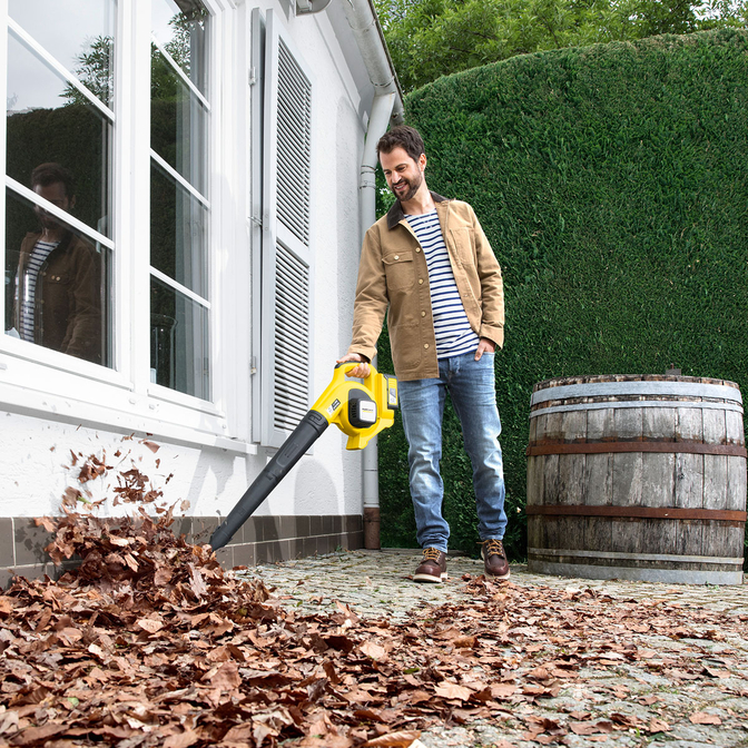 Product Kärcher LBL 4/36V Battery Set Φυσητήρας base image