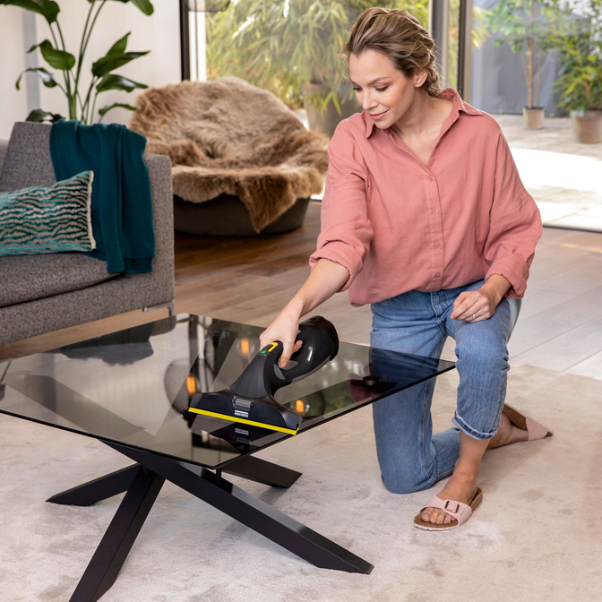 Product Kärcher WV 5 Plus Anniversary Edition Window Vacuum base image